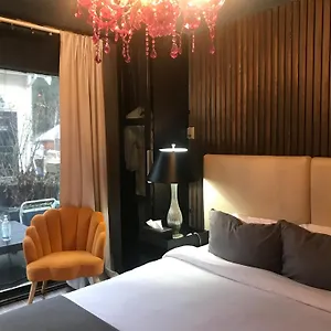 Homestay Style Basement, Vancouver